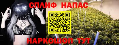 гидра Комсомольск-на-Амуре