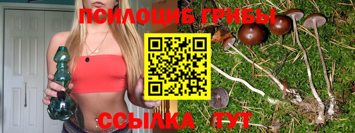 Галлюциногенные грибы мицелий  Вход с VPN  Ковров 