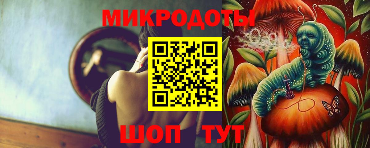 Галлюциногенные грибы Psilocybine cubensis Ковров
