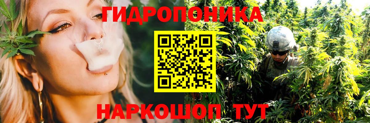 Бошки марихуана индика  Канабис White Widow  МАРИХУАНА план  Вход с VPN  Ковров 
